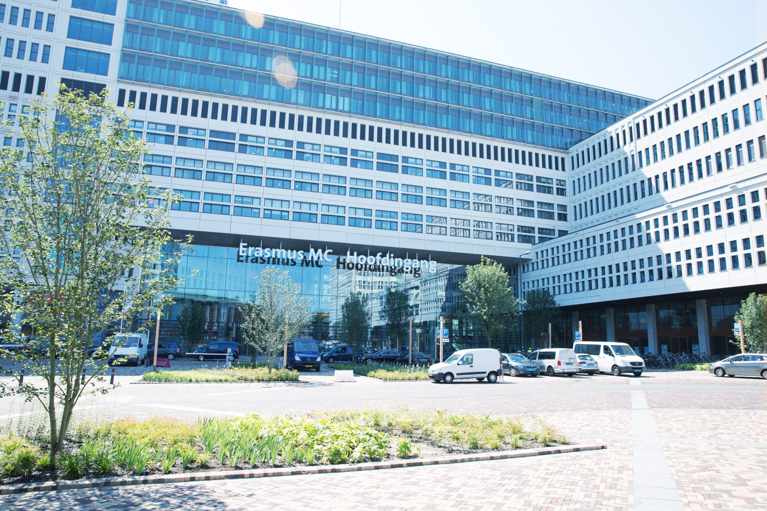 Erasmus Medical Center Enjoys Sony BRAVIA Digital Renaissance ...