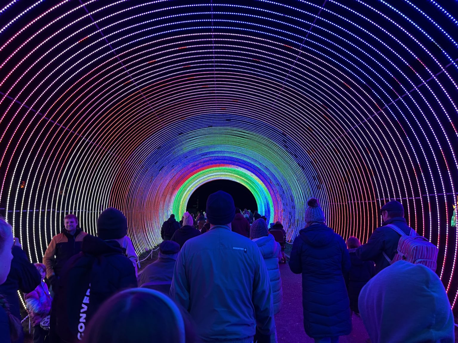 Longleat Festival Of Light delivers a golden ticket experience
