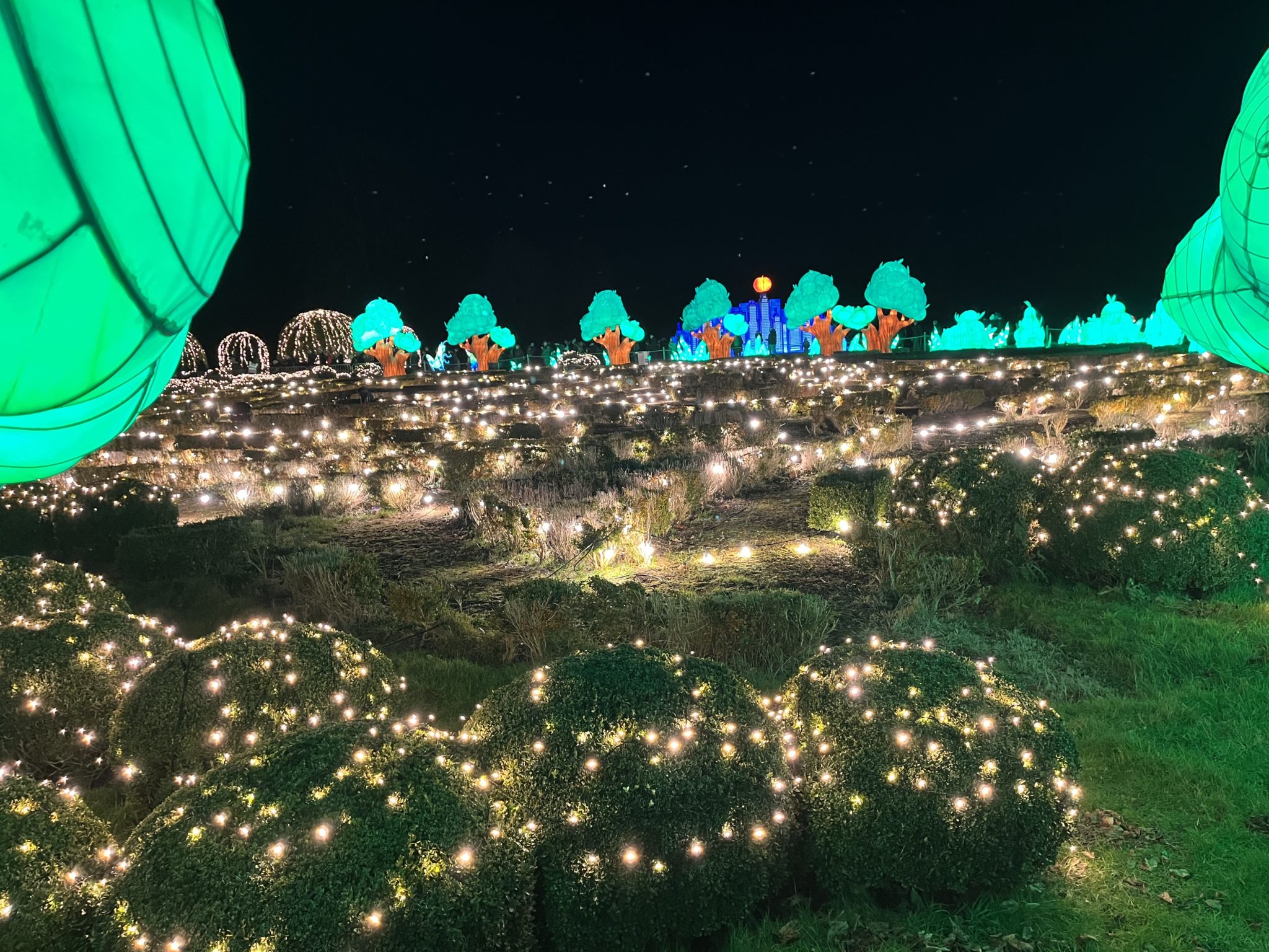 Longleat Festival Of Light delivers a golden ticket experience